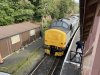 IMG_6334.jpeg