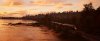 3656800_447.jpg