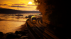 a601aa6b-8c00-4809-b4ab-228b8c9fdbc2.png