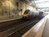 IMG_2990.jpeg
