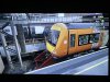 IMG_9415.jpeg