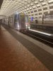 IMG_0775.jpeg