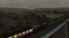 20260208195813 - Class 37 BR Green, Scenery Bridge, Coach Mk1 BR Maroon-Cream - Overcast.jpg