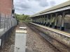 IMG_3920.jpeg