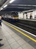 IMG_3326.jpeg