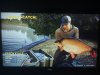 IMG_2721.jpeg