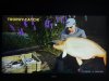 IMG_2918.jpeg