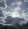 IMG_3181.jpeg