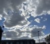 IMG_3180.jpeg