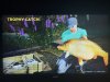 IMG_3124.jpeg