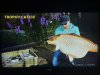 IMG_3284.jpeg