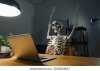 human-skeleton-model-desk-office-260nw-2635843847.jpg