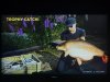 IMG_3342.jpeg