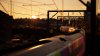TSW Trainbow.jpg