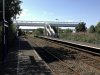IMG_5020.jpeg