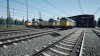 3656800_3340.jpg