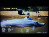 IMG_3858.jpeg
