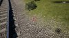 IMG_0599.jpeg