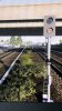 IMG_0218.jpeg