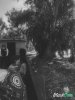 IMG_1970.jpeg