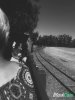 IMG_1967.jpeg