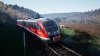IMG_2026.03.17-08.45.02.jpg