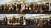 RunningTrainPassengers.png