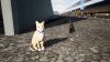 0acaceff-8d46-4750-abed-70a622150c60.jpeg