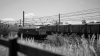 114e8ffd-7856-4776-b3a6-a1bb72a623df.png