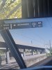 IMG_3782.jpeg