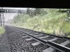 IMG_0906.jpeg
