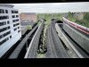 IMG_0917.jpeg