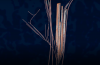 Screenshot 2026-08-17 153932.png