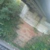 IMG_20220106_234757_521_101641.jpg