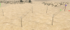 upload_2026-8-26_19-44-58.png