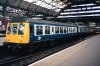 IMG_7001.jpeg
