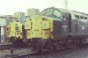 IMG_9165.jpeg