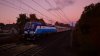 IMG_1179.jpeg