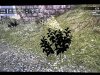 IMG_1087.jpeg