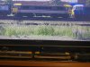 IMG_1132.jpeg
