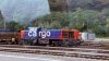 IMG_6879.jpeg