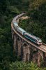 Train-travel-guide-Sri-Lanka-683x1024.jpg