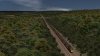 20260725120135 - Class 43 XC, Coach Mk3 XC, Scenery Forest.jpg