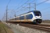20220326-005-Groot.jpg