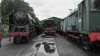 S1210008.JPG