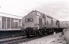 37167_014.JPG