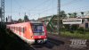 RROA_0005.jpg