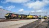 CAF80948-436B-4E42-BD56-90F5746C2035.jpeg
