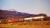 495dfc96-e23a-4c23-bbcb-bc9c552c69f4.jpg