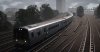 TSW_Nina_1587757746_00.jpg
